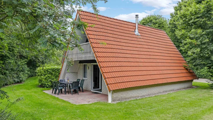 Goudvink 96